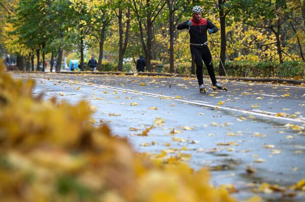 El 'Otoño de Oro' en los parques de Moscú - Sputnik Mundo