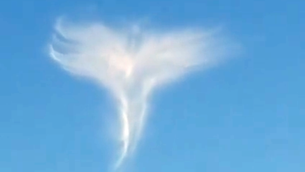 Angel en los cielos de Carolina del Sur - Sputnik Mundo