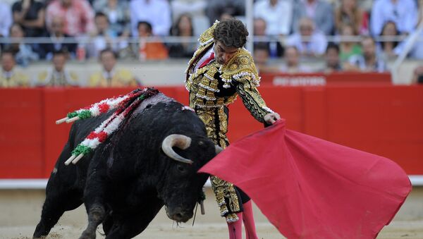 El torero español, José Tomás, en la última corrida en Barcelona en 2011 antes de la prohibición - Sputnik Mundo