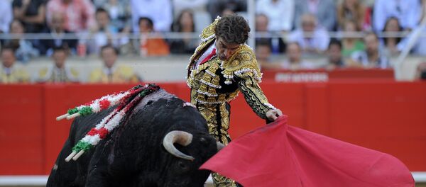El torero español, José Tomás, en la última corrida en Barcelona en 2011 antes de la prohibición (archivo) - Sputnik Mundo