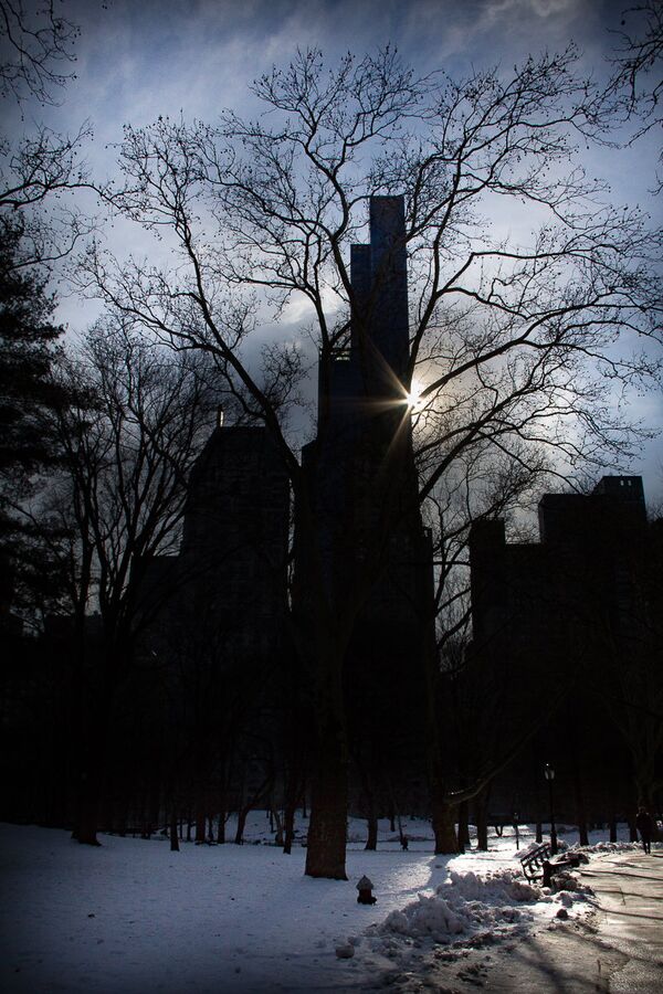 'Halo' de Carla Sánchez 'Halo' de Carla Sánchez - Sputnik Mundo