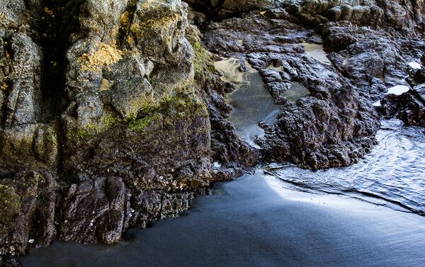 'Perspectiva' de Carla Sánchez 'Perspectiva' de Carla Sánchez - Sputnik Mundo