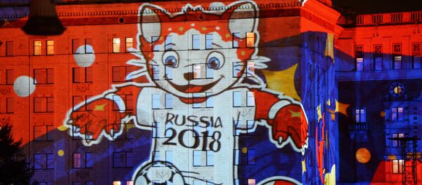 Una de las mascotas de Rusia 2018 Una de las mascotas de Rusia 2018 - Sputnik Mundo