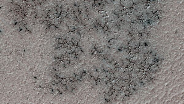 Arañas en Marte - Sputnik Mundo