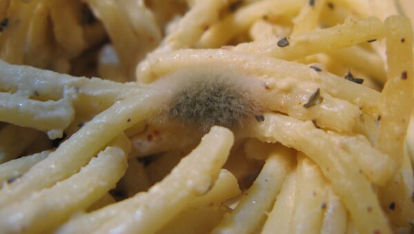 Comida caducada - Sputnik Mundo