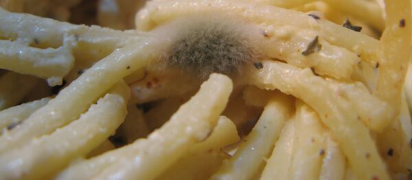 Comida caducada Comida caducada - Sputnik Mundo