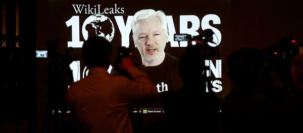 Julian Assange, fundador de WikiLeaks - Sputnik Mundo