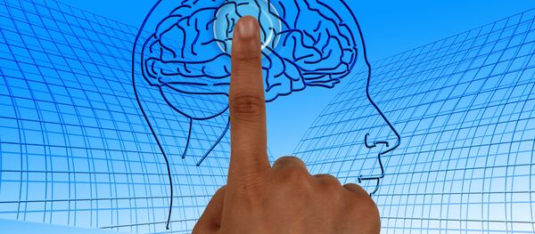 Un cerebro humano - Sputnik Mundo