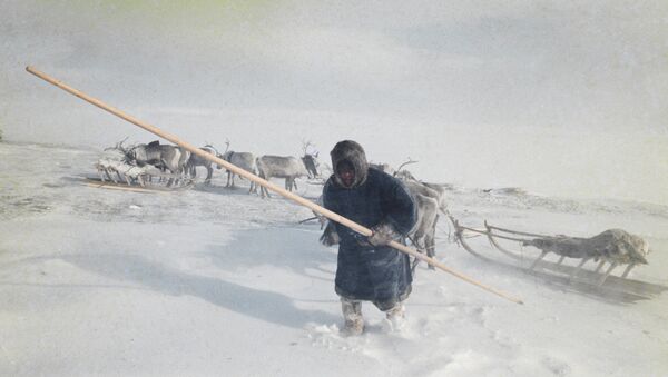 Siberia Siberia - Sputnik Mundo