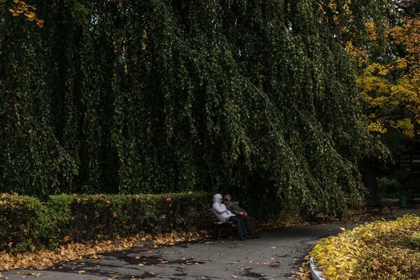 Los habitantes del zoológico de Kaliningrado - Sputnik Mundo