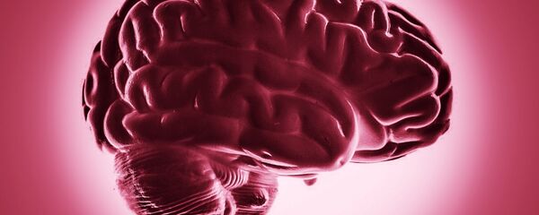 Cerebro - Sputnik Mundo