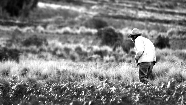 Campesino boliviano - Sputnik Mundo