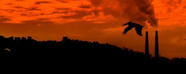 Emisiones de gases contaminantes - Sputnik Mundo