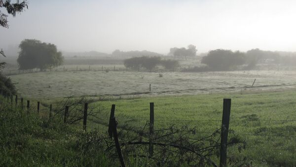 Las tierras de los mapuches - Sputnik Mundo