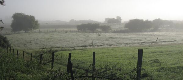Las tierras de los mapuches - Sputnik Mundo