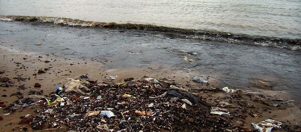 Basura en una orilla en Montevideo - Sputnik Mundo