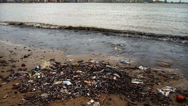 Basura en una orilla en Montevideo - Sputnik Mundo