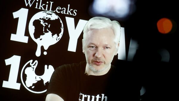 Julian Assange, fundador de Wikileaks - Sputnik Mundo