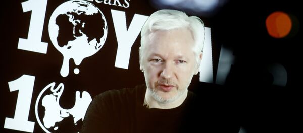 Julian Assange, fundador de Wikileaks - Sputnik Mundo