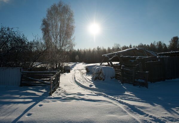 La belleza que se esconde en el duro invierno siberiano - Sputnik Mundo