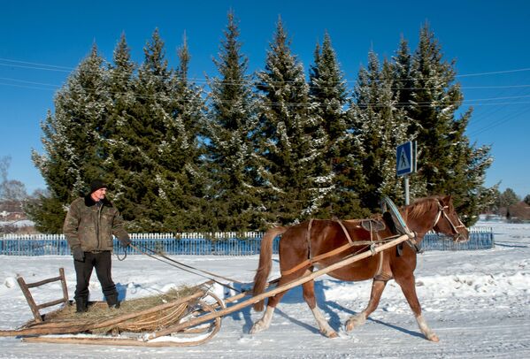 La belleza que se esconde en el duro invierno siberiano - Sputnik Mundo