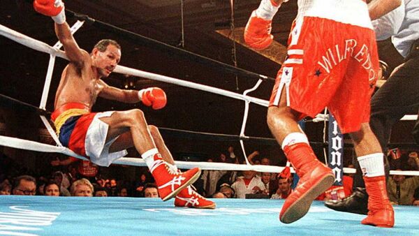 Wilfredo Vazquez, of Bayamon, Puerto Rico (R) knocks WBA Champion Eloy Rojas, of Caracas, Venezuela, through the ropes in the 11th round of their WBO Featherweight Championship fight late 18 May in Las Vegas, Nevada. Vazquez captured the WBO Title with a KO in the 11th round of their scheduled 12 round bout. - Sputnik Mundo