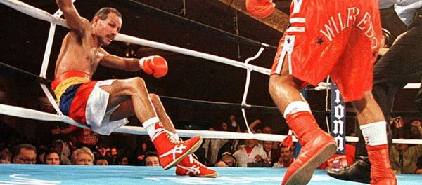 Wilfredo Vazquez, of Bayamon, Puerto Rico (R) knocks WBA Champion Eloy Rojas, of Caracas, Venezuela, through the ropes in the 11th round of their WBO Featherweight Championship fight late 18 May in Las Vegas, Nevada. Vazquez captured the WBO Title with a KO in the 11th round of their scheduled 12 round bout. - Sputnik Mundo