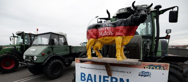 Una acción de protesta de los lecheros alemanes (archivo) - Sputnik Mundo