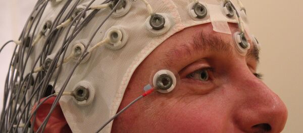 Estudios sobre el cerebro (archivo) Estudios sobre el cerebro (archivo) - Sputnik Mundo