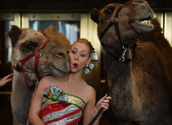 Las imágenes más impactantes de la semana - Sputnik Mundo