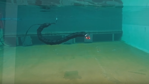 Una serpiente robot desarrollada por la Universidad de Noruega - Sputnik Mundo
