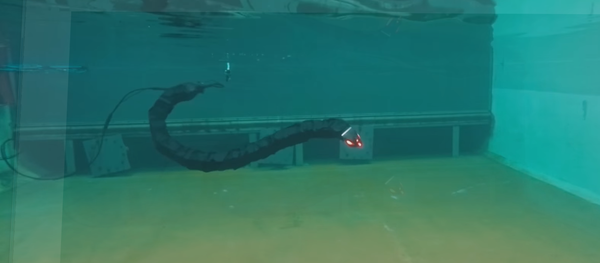 Una serpiente robot desarrollada por la Universidad de Noruega - Sputnik Mundo