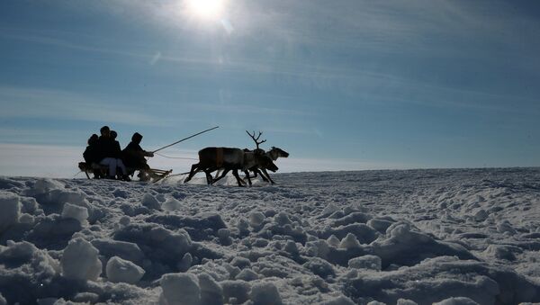 Los nenets de Yamal (archivo) - Sputnik Mundo