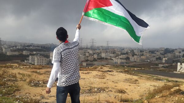 Bandera de Palestina - Sputnik Mundo