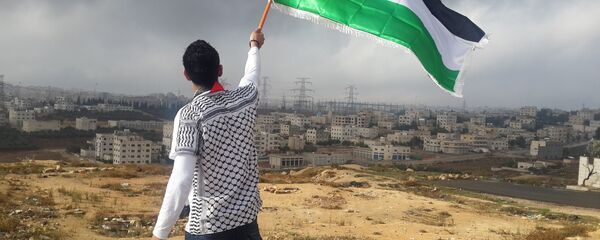 Bandera de Palestina - Sputnik Mundo