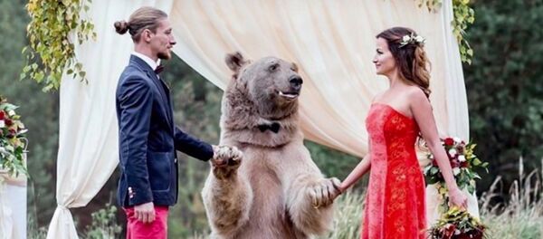Un oso casa a una pareja - Sputnik Mundo