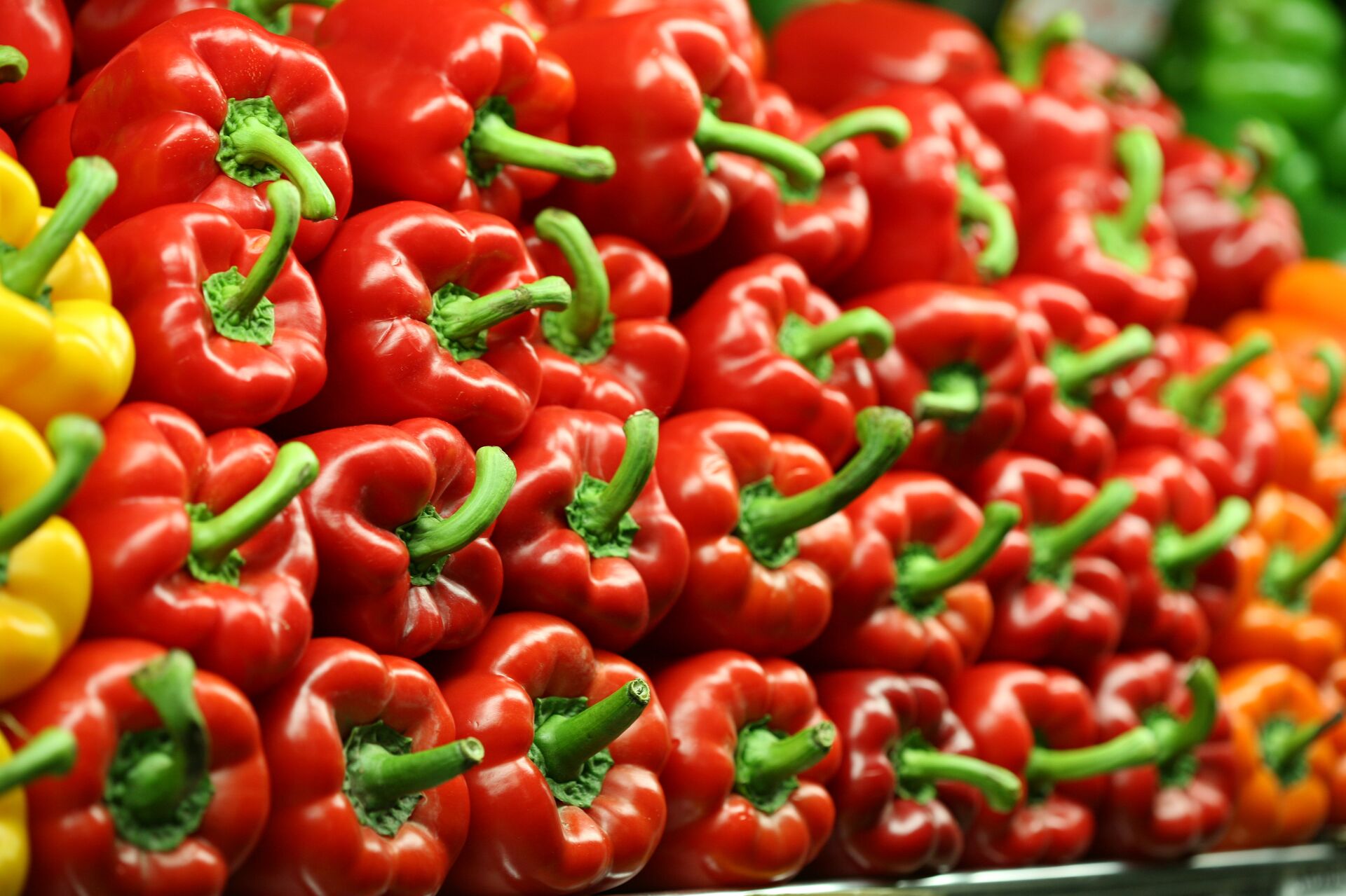 Pimiento morrón - Sputnik Mundo, 1920, 20.08.2021