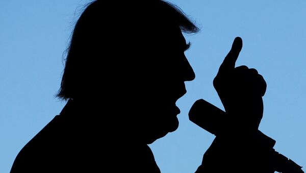 Republican presidential nominee Donald Trump holds a campaign rally in Grand Junction, Colorado, US October 18, 2016. - Sputnik Mundo