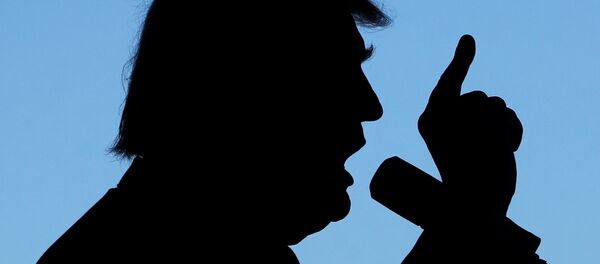 Donald Trump, el presidente electo de EEUU - Sputnik Mundo