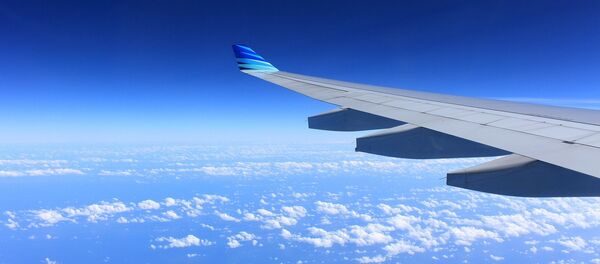 Ala de un avión - Sputnik Mundo