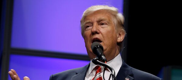 Donald Trump, el presidente electo de EEUU - Sputnik Mundo