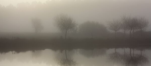 Niebla espesa - Sputnik Mundo