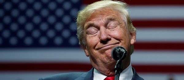 Donald Trump, presidente electo de EEUU - Sputnik Mundo