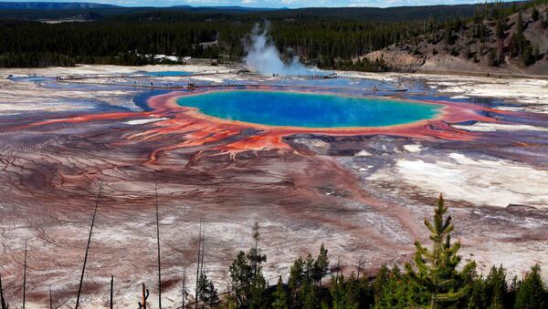 La Gran Fuente Prismática en el Parque Nacional de Yellowstone - Sputnik Mundo