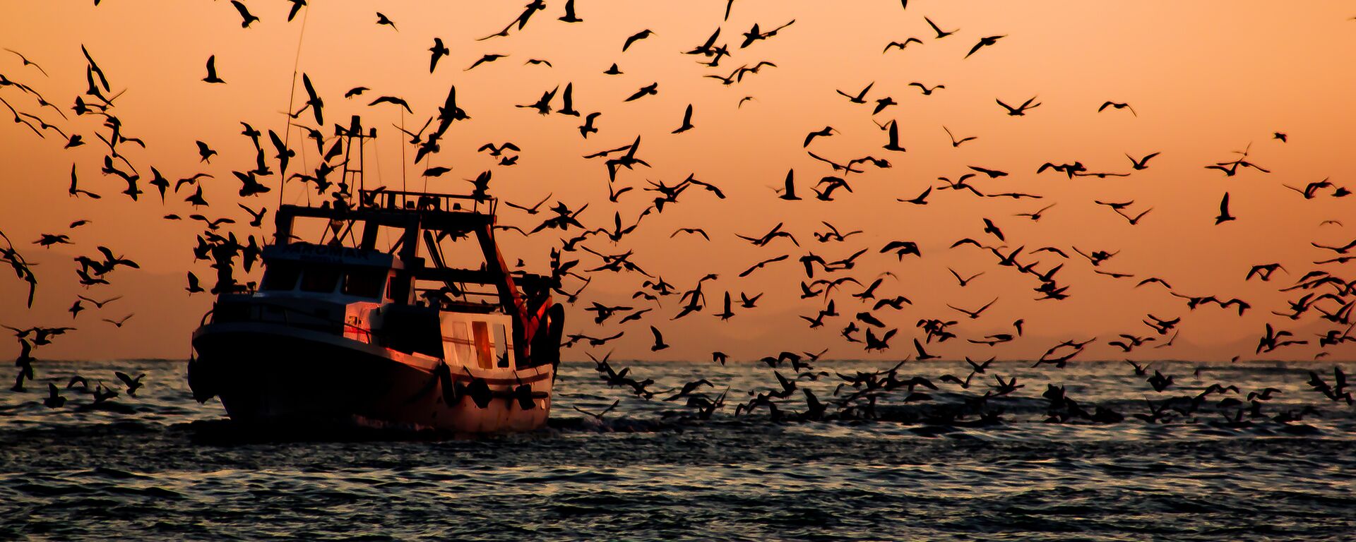 Un barco pesquero - Sputnik Mundo, 1920, 29.06.2021
