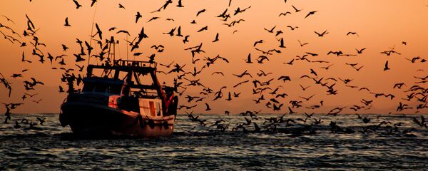 Un barco pesquero - Sputnik Mundo