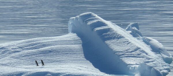 Polo Norte (archivo) - Sputnik Mundo