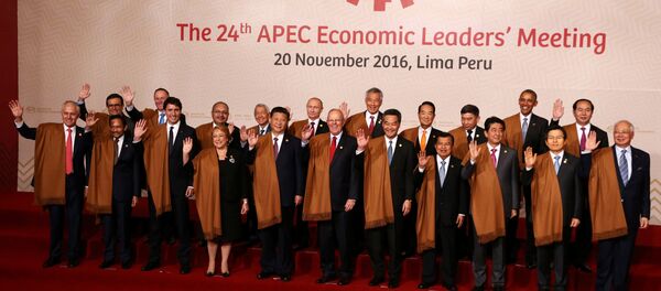 La cumbre de APEC en Lima La cumbre de APEC en Lima - Sputnik Mundo