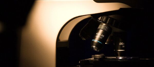 Microscopio - Sputnik Mundo