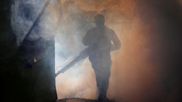 A health ministry worker fumigates a house to kill mosquitoes during a campaign against dengue and chikungunya in Managua - Sputnik Mundo